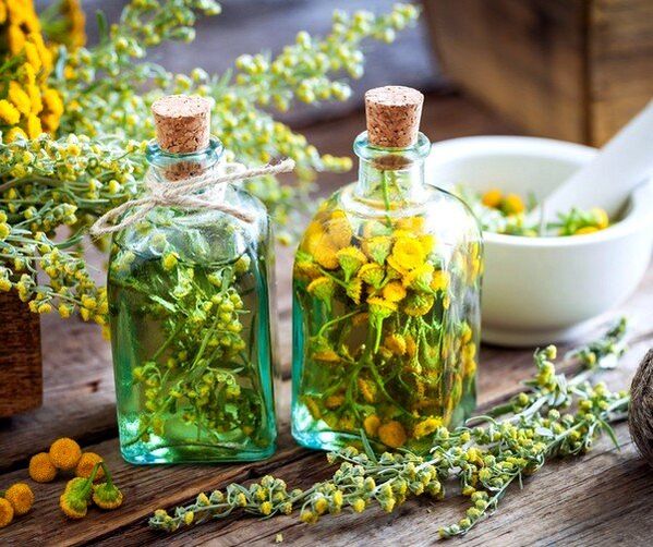 nalewka z wrotyczu pospolitego do usuwania robaków